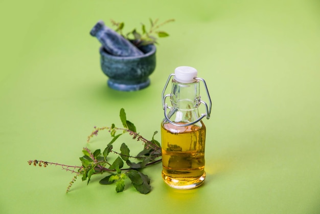 Ayurvedische Tulsi-olie, koningin van kruidenextract in glazen fles met verse groene heilige basilicumtakken en vijzel met stamper. Geïsoleerd over kleurrijke achtergrond. selectieve focus