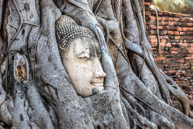 Foto ayutthaya hoofd van boeddhabeeld in boomwortels, wat mahathat-tempel, thailand