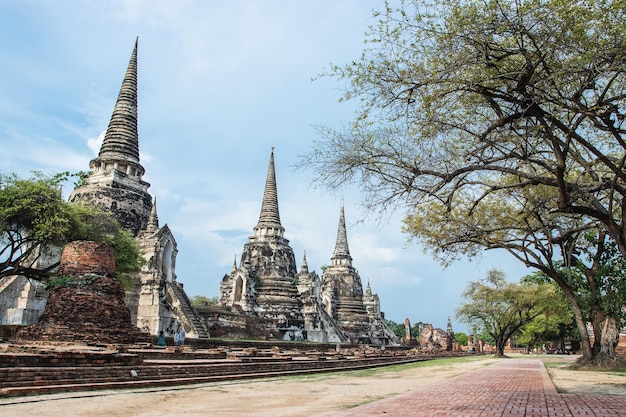 Foto ayuthya thailand may14 2018 viaggio turistico per visitare il tempio wat phra si sanphet nel parco storico di ayutthaya, patrimonio mondiale dell'unesco, thailandia