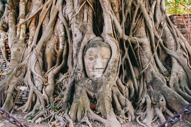 Ayutthaya. tailandia.