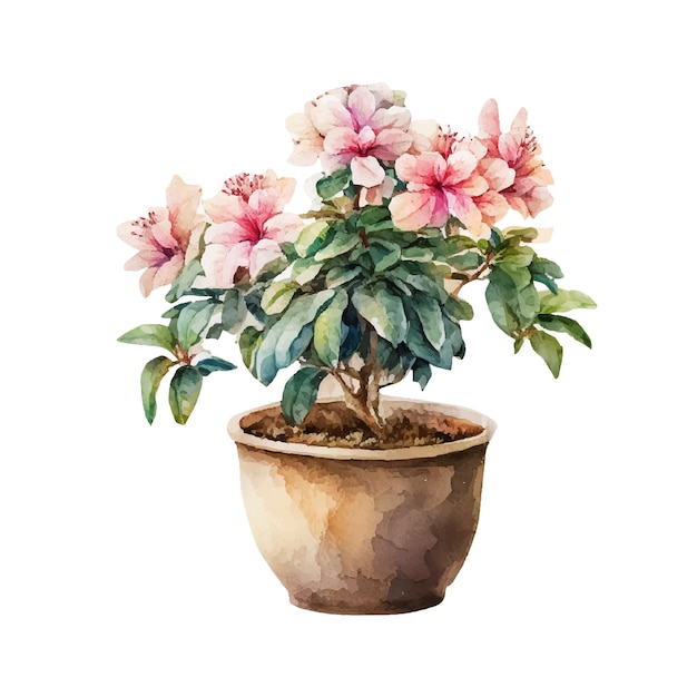 Photo azalea in a pot watercolor painting