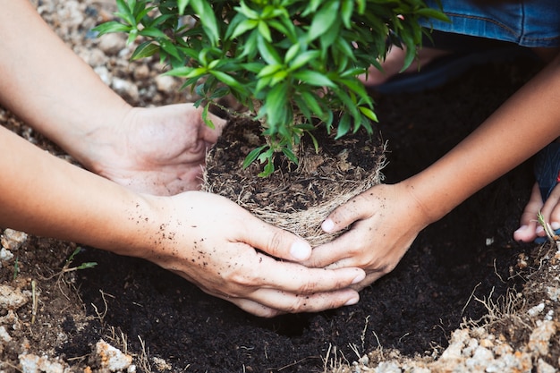 Aziatisch kindmeisje die haar ouder helpen om de jonge boom in de tuin te planten