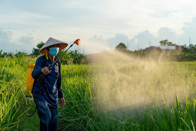 Aziatische boer sproeien van pesticiden op rijstvelden