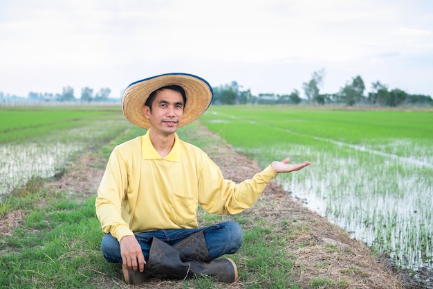 Aziatische boeren dragen gele shirts terwijl ze zitten en hun handen opsteken op de groene boerderij. Afbeelding voor presentatie.
