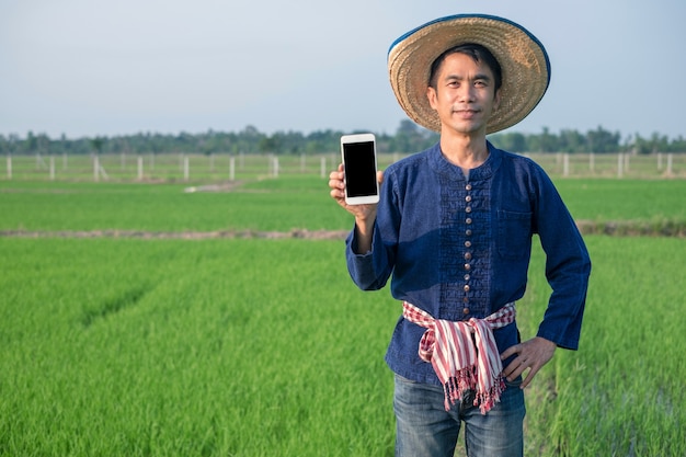 Aziatische boerenman draagt traditionele klederdracht, houdt smartphone vast en lacht naar groene rijstboerderij green