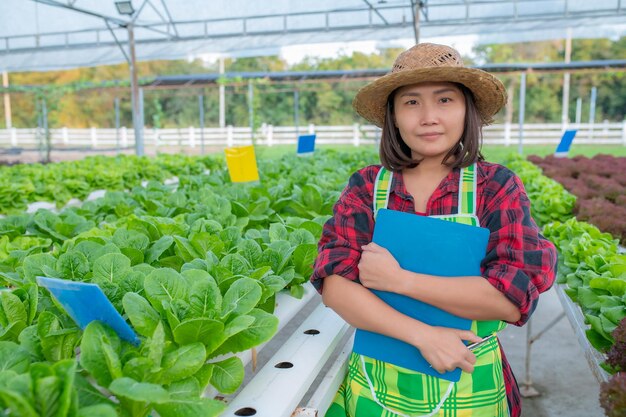 Aziatische boerenvrouw die werkt op de saladeboerderijPlantende biologische hydrocultuurgroente voor kleine bedrijven