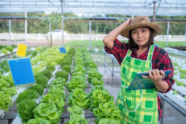 Aziatische boerenvrouw die werkt op de saladeboerderijPlantende biologische hydrocultuurgroente voor kleine bedrijven