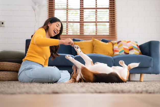 Aziatische jonge vrouw met beagle hond met hondentrainingsactiviteiten om bevelen in de woonkamer van het huis te gehoorzamen