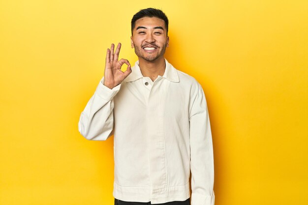 Aziatische man in helder wit shirt op gele studio vrolijk en zelfverzekerd toont ok gebaar