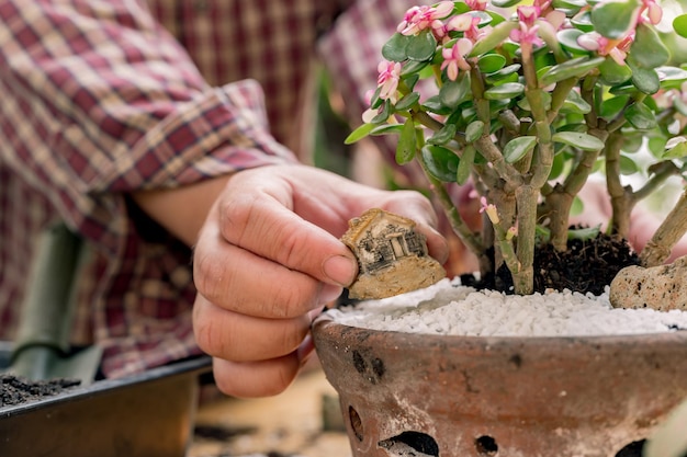 Aziatische man levensstijl en buitenactiviteiten thuis. Huis tuinieren in botanische tuin alleen.