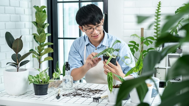 Aziatische man-tuinman houdt een kleine kamerplant vast en gebruikt spuitflesplanten om planten in de kamer thuis te verzorgen terwijl hobbyactiviteit, concept van huistuin