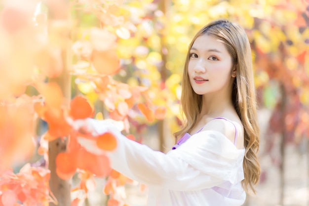 Aziatische mooie jonge vrouw staat en glimlacht tussen oranje bos in natuurlijk thema.
