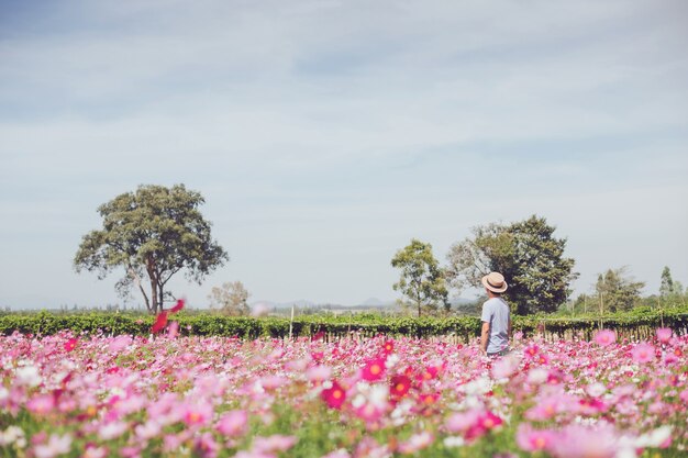 Aziatische reiziger man lopen en foto nemen in Cosmos bloem veld landschap achtergrond. Concept van reizen in het zomerseizoen in Thailand.