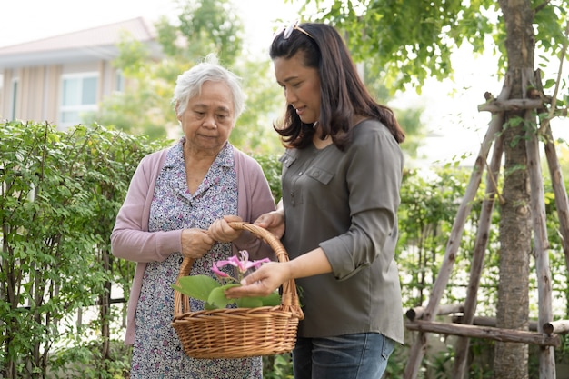 Aziatische senior of oudere oude dame die thuis voor het tuinwerk zorgt