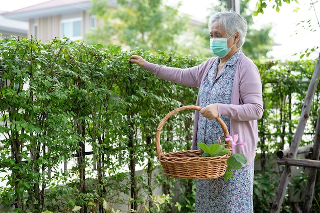 Aziatische senior of oudere oude dame die voor het tuinwerk thuis zorgt, hobby om te ontspannen en te oefenen met gelukkig