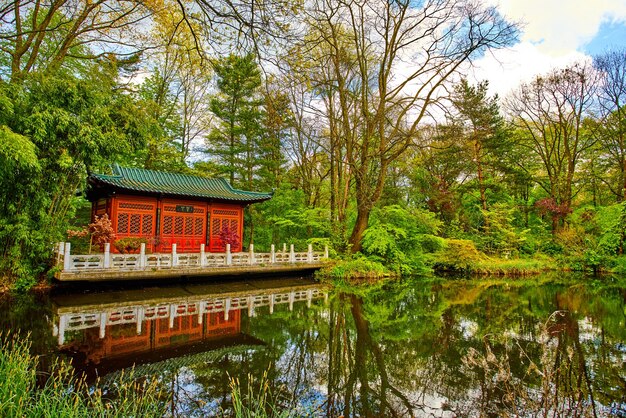 Aziatische tuin Japanse zentuin