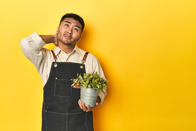 Aziatische tuinier man met een plant gele studio achtergrond aanraken de achterkant van het hoofd denken