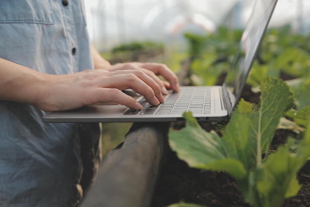 Aziatische vrouw boer met behulp van digitale tablet in moestuin bij kas Business landbouwtechnologie concept kwaliteit slimme boer