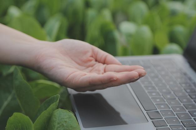 Aziatische vrouw boer met behulp van digitale tablet in moestuin bij kas Business landbouwtechnologie concept kwaliteit slimme boer