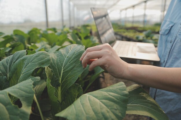 Aziatische vrouw boer met behulp van digitale tablet in moestuin bij kas Business landbouwtechnologie concept kwaliteit slimme boer