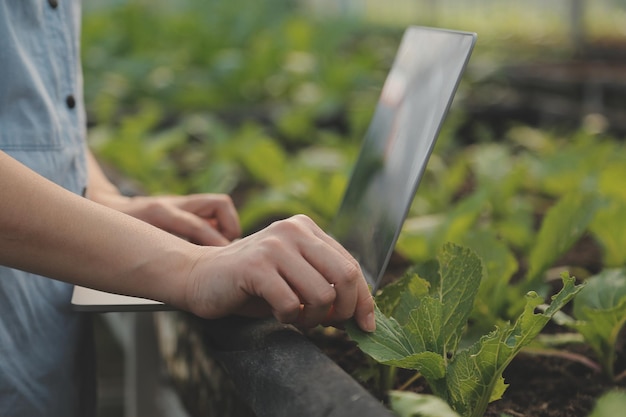 Aziatische vrouw boer met behulp van digitale tablet in moestuin bij kas Business landbouwtechnologie concept kwaliteit slimme boer