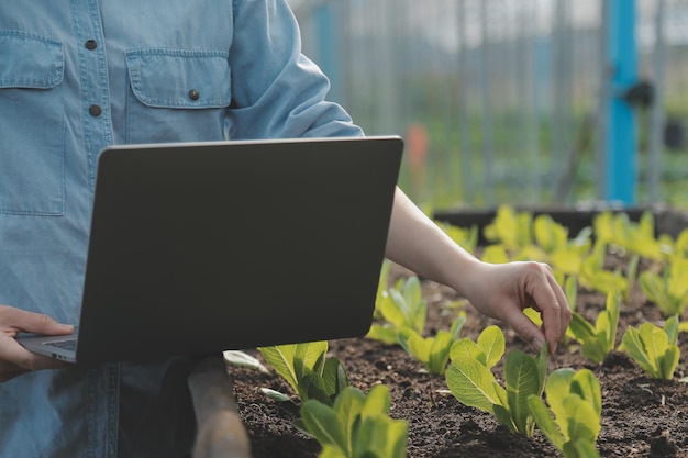 Aziatische vrouw boer met behulp van digitale tablet in moestuin bij kas Business landbouwtechnologie concept kwaliteit slimme boer