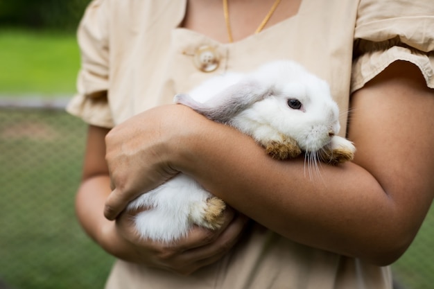 Foto aziatische vrouw die schattig konijn vasthoudt en draagt met tederheid en liefde. vriendschap met schattige paashaas. gelukkig konijn met eigenaar.