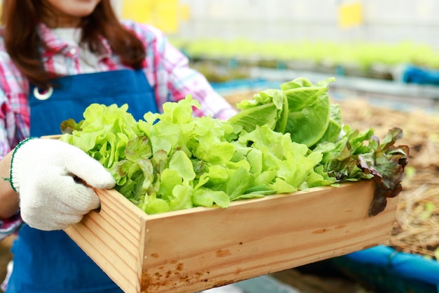 Aziatische vrouw met een houten kist met verse groenten ze kweekt groenten biologisch in een buitenkas gezond eetconcept biologische landbouw