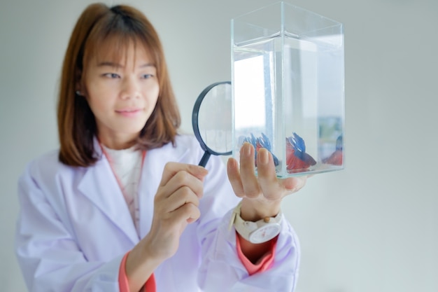 Aziatische vrouw wetenschapper in Doctor Hold vergrootglas op zoek Fighting Fish Glass Tank op