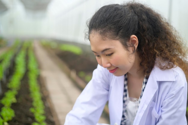 Foto aziatische vrouwelijke agronoom die werkt in een concept voor biologische groenten en landbouw in een kas