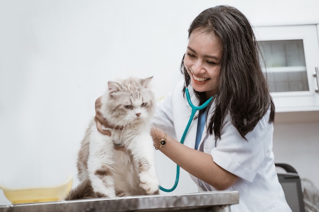 Aziatische vrouwelijke dierenarts die kat met stethoscoop onderzoekt bij de kliniekruimte