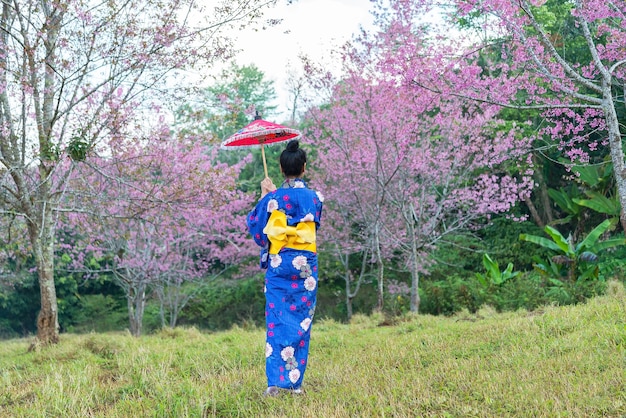 Aziatische vrouwen die kimono traditioneel in Himalayan vrolijk bloesempark dragen, met rode paraplu. vrouwen na