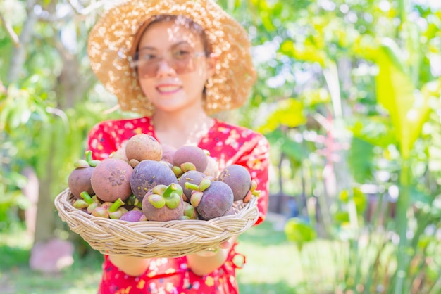 Aziatische vrouwenlandbouwkundige die mangostans in mand tonen