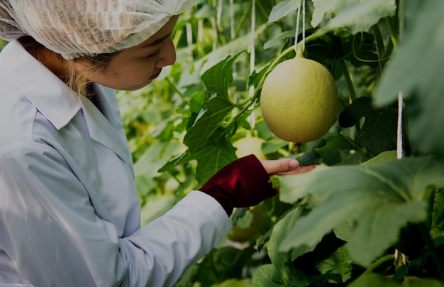 Aziatische wetenschapper die planten en vruchten bestudeert