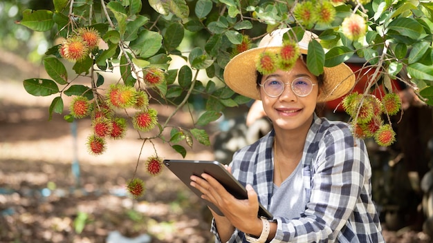 Foto azië vrouw boer rambutan fruit boer controleren kwaliteit van product rambutan met behulp van tabet of smartphone vrouwelijke boer met rambutan uit biologische landbouw groene tuin