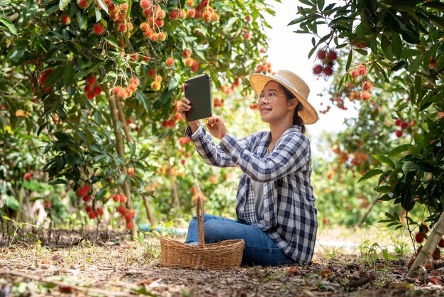 Azië Vrouw boer Rambutan fruit boer controleren kwaliteit van product Rambutan met behulp van tabet of smartphone vrouwelijke boer met rambutan uit biologische landbouw Groene tuin