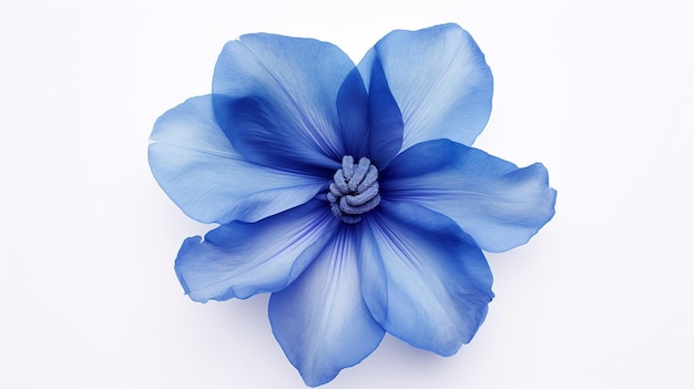 Azure Majesty Looking Down at the Head of a Blue Tulip Flower