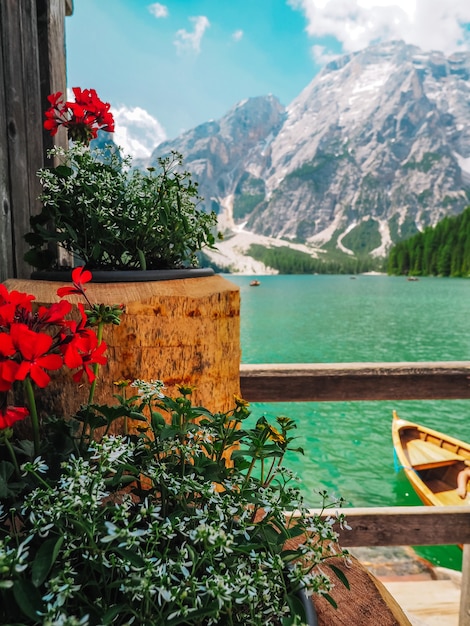 Azure turquoise lake in the Dolomites mountains, photographed through red flowers on the pier