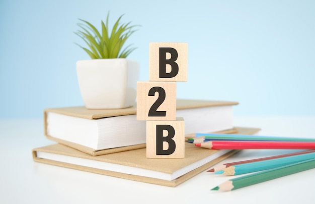 B2b, business to business marketing, business word su cubi di legno su sfondo sfocato.