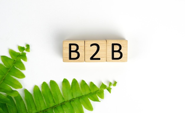 B2B Business to Business geschreven op een afbeelding van een houten kubussen Business Concept