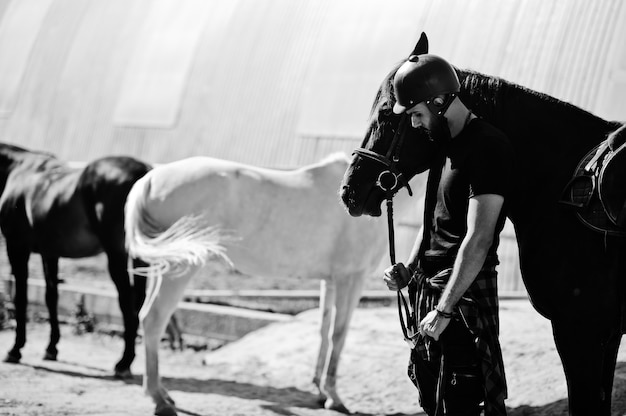 baard man met paard