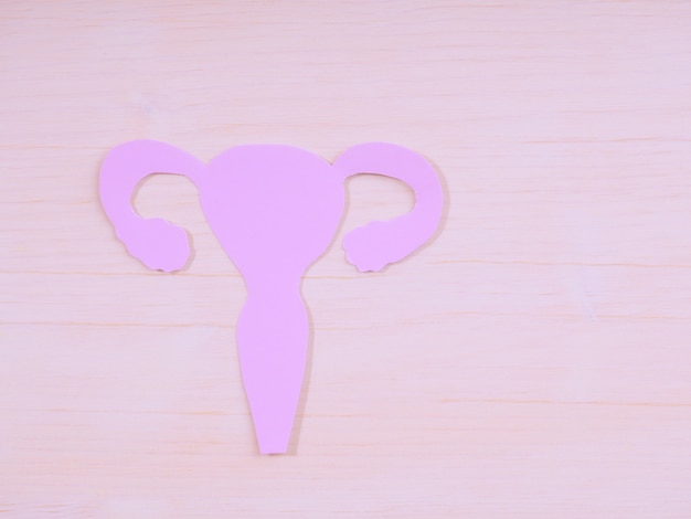 Baarmoedervorm gemaakt van papier op roze achtergrond. Bewustwording van baarmoederaandoeningen zoals endometriose, PCOS, SOA's of gynaecologische kanker.