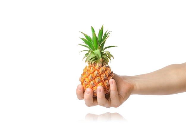 Baby ananas in de menselijke mannelijke hand, geïsoleerd op een witte achtergrond.