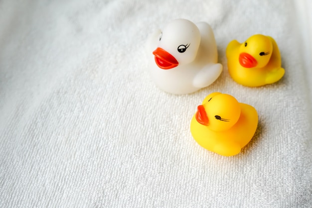 Baby bath toys white and yellow ducks on towel