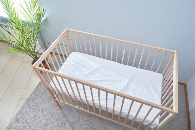 Photo baby bed top view. a bright room with a green potted flower and a carpeted floor.