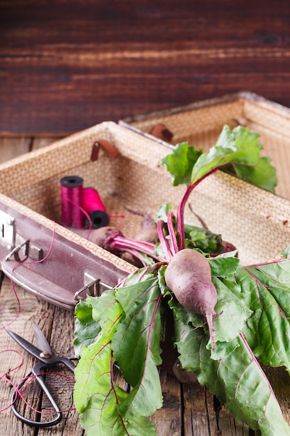 Baby beets with foliage in a vintage suitcase