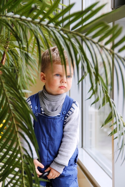 Baby in a blue jumpsuit behind a green tree near the window