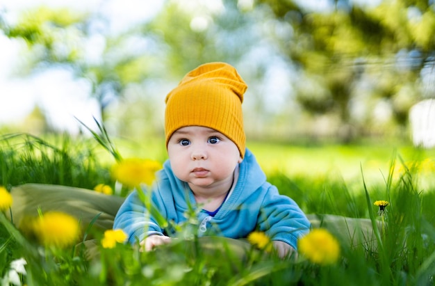 タンポポの牧草地の男の子 自然を探索する男の子