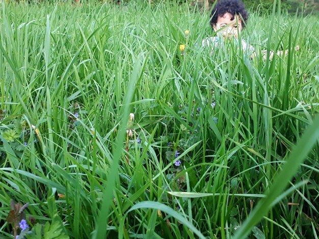 Baby boy on grassy field