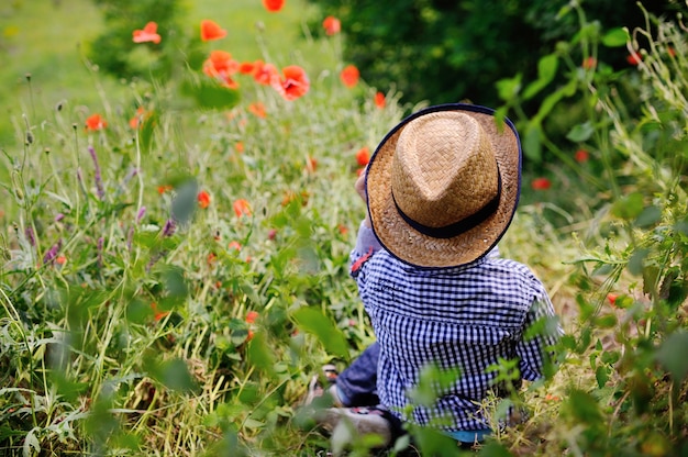 Baby boy in a hat on a background of poppy field